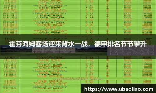 雷火电竞官方